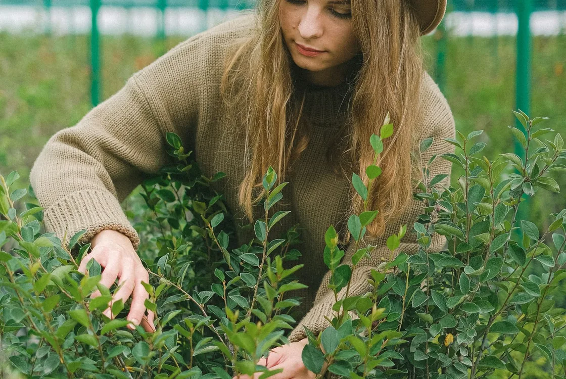 Technicienne agricole controlant l'etat des cultures en serre, vocabulaire anglais de la production