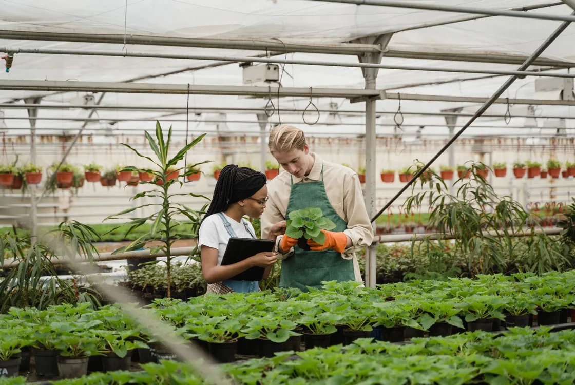Equipe travaillant dans une serre horticole, lexique anglais de l'export et de la filiere agricole